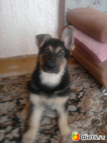 ��� ��� ����� �� �����, ������: ��� ������� ������