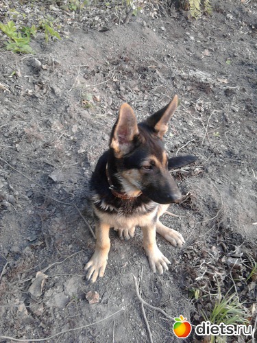 3 ����: ��� ������� ������