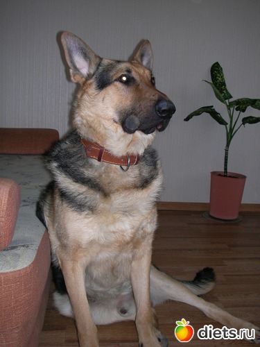 9 ����: ��� ������� ������