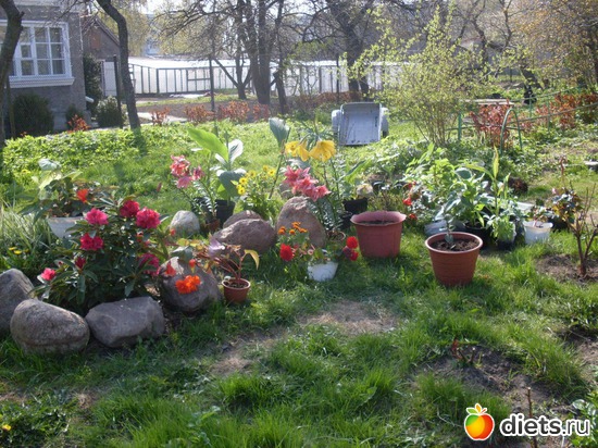 6 ����: �����