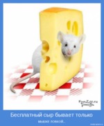 38-й белковый