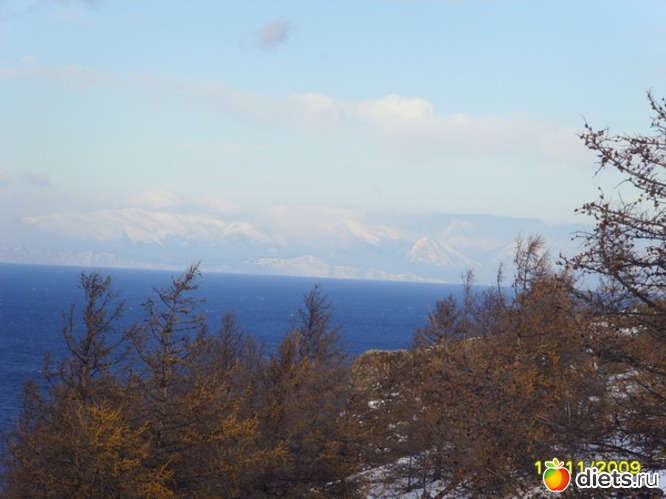 12 ����: ������