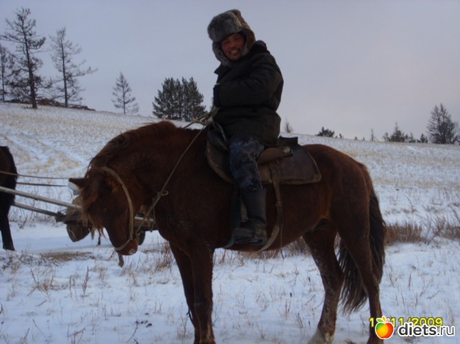 ������� ������), ������: ������