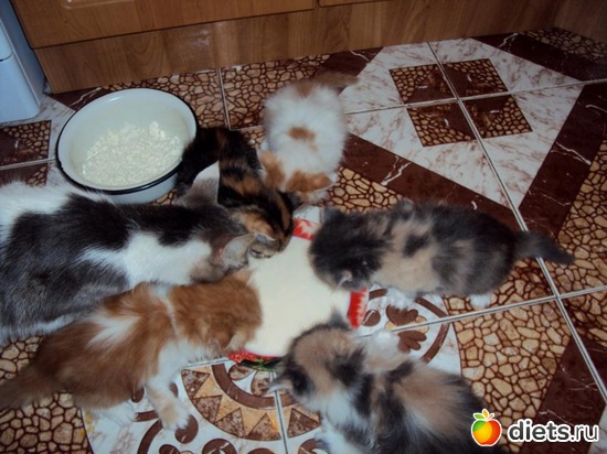 15 ����: ��� �����