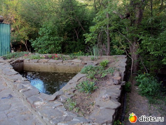 4 ����: �����