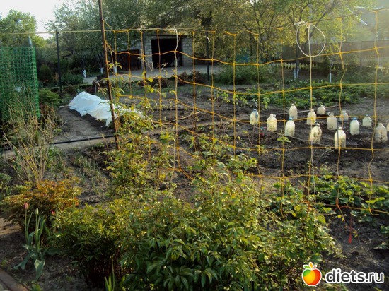 7 ����: �����