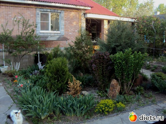 11 ����: �����