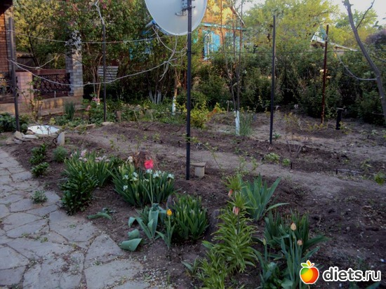 12 ����: �����