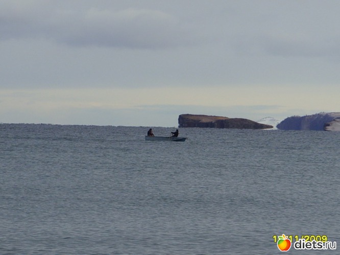 ������, ������: ������