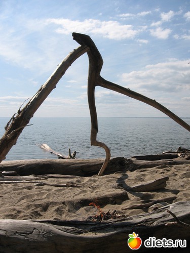 34 фото: Сибирь