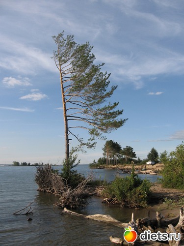 35 ����: ������