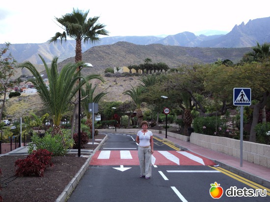 1 фото: Канары-2011