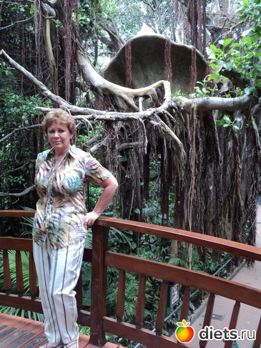 5 ����: ������-2011