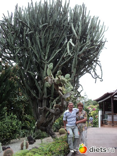 6 ����: ������-2011