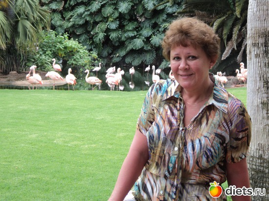 8 ����: ������-2011