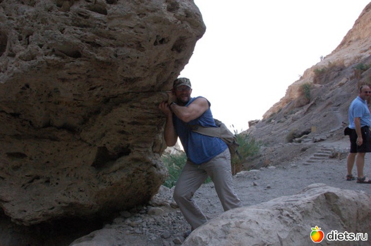 1 ����: �����