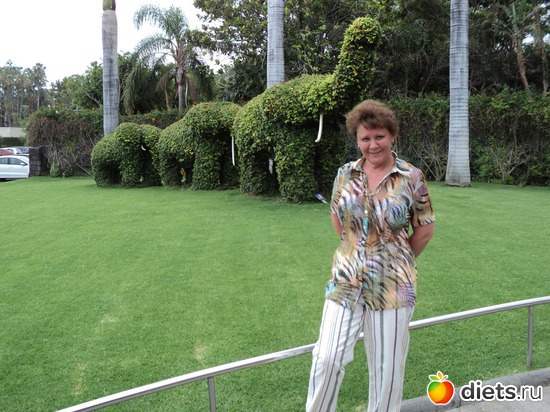 10 ����: ������-2011