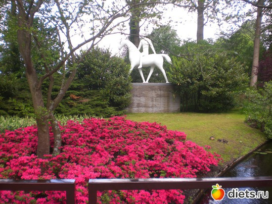 Keukenhof, ������: Keukenhof