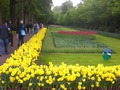 Keukenhof