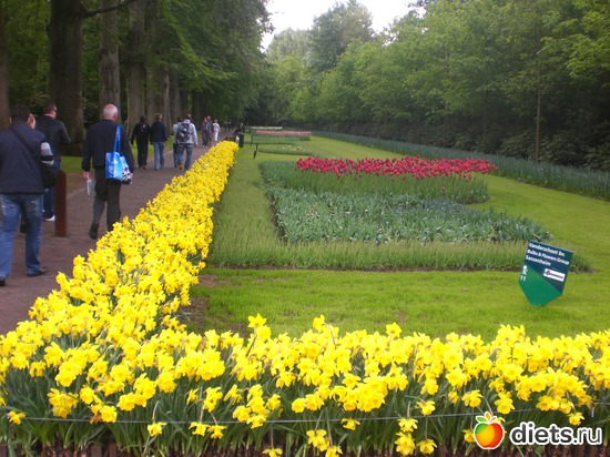 Keukenhof, ������: Keukenhof