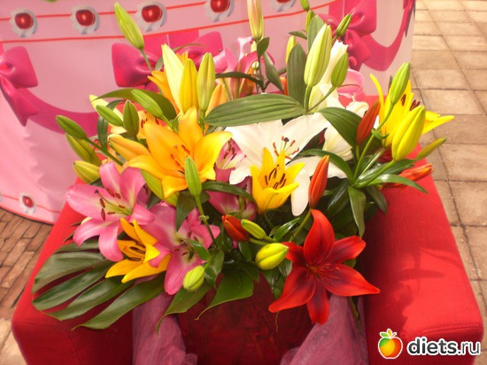 Keukenhof, альбом: Keukenhof