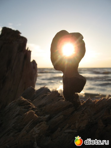 ������ ����, ������: ������