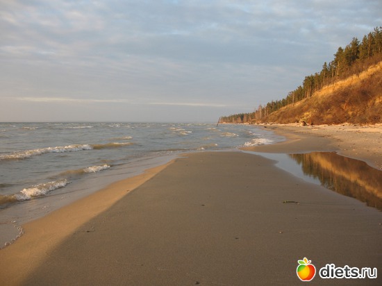 5 ����: ������