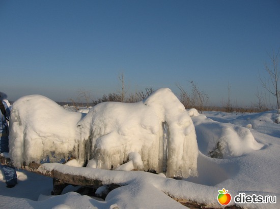 �� ���� ��� �� �������!, ������: ������