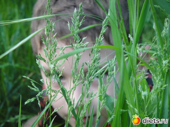 ��� ����� ��� � ��� ����� � ����, ������: ��� ���������