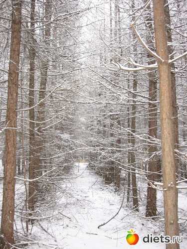 28 ����: ������