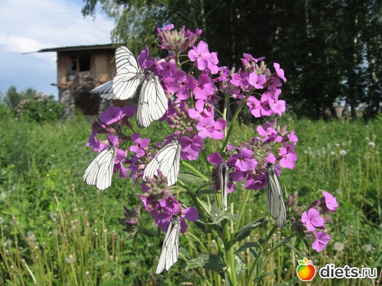 30 ����: ������