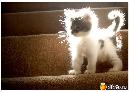 16 ����: ������