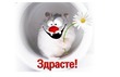 Волшебный имбирь - эта миф иль правда???