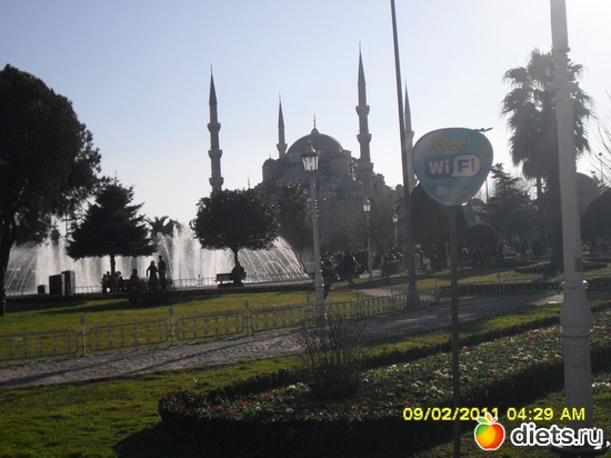 7 ����: � ��������