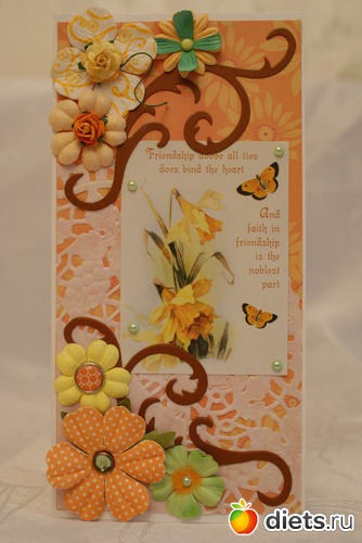 1 ����: �����, ������� � 2