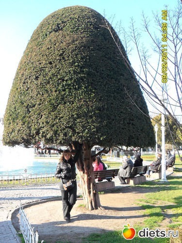 8 ����: � ��������