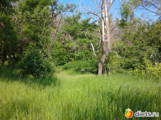 1 фото: прогулка 19.05