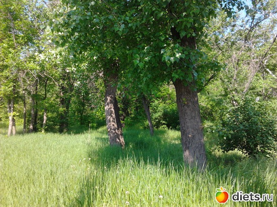 2 ����: �������� 19.05