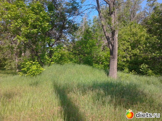 3 фото: прогулка 19.05