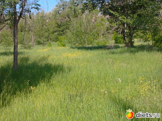 4 ����: �������� 19.05