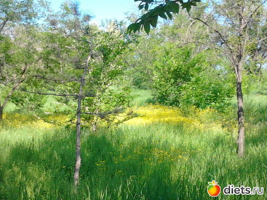 5 ����: �������� 19.05