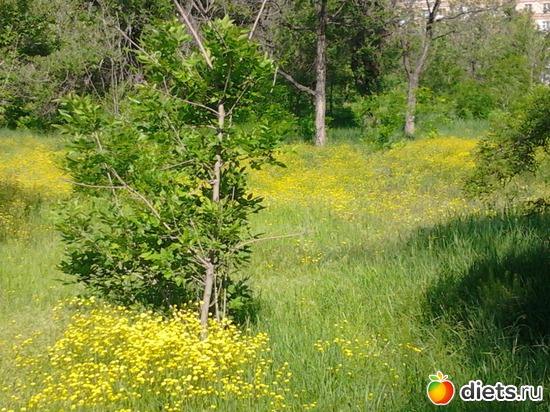 6 ����: �������� 19.05