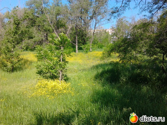 7 ����: �������� 19.05