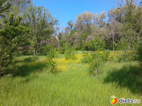 8 фото: прогулка 19.05