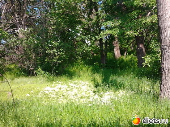 9 фото: прогулка 19.05