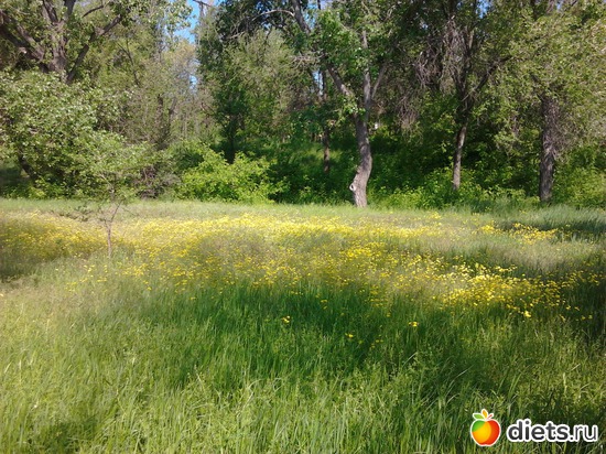 10 ����: �������� 19.05