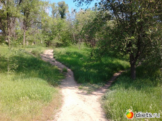 11 ����: �������� 19.05