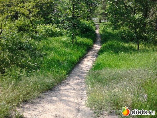 12 фото: прогулка 19.05