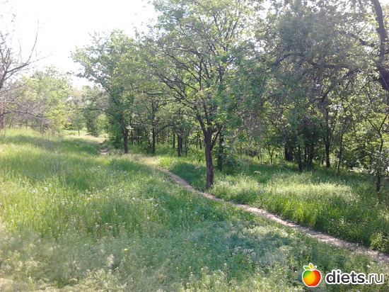 13 ����: �������� 19.05