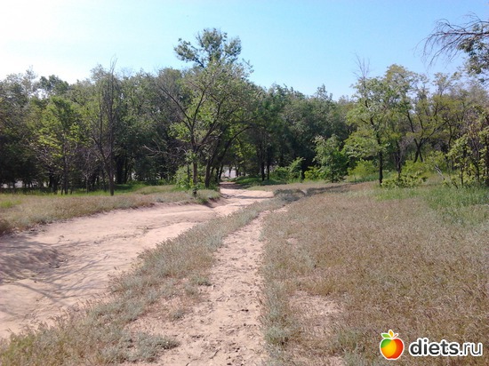 14 ����: �������� 19.05